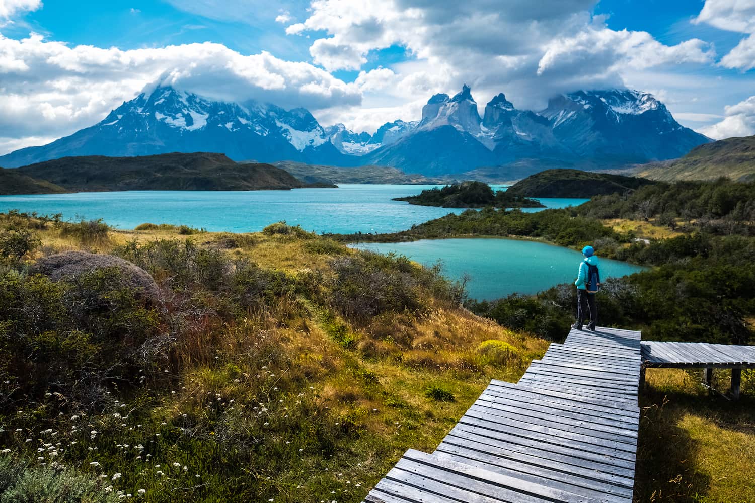 Torres del Paine National Park in Patagonia seen in summer from a viewpoint