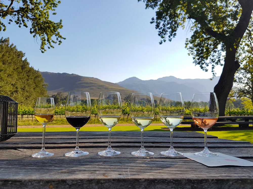 Cape Winelands offering a different atmosphere for wine tasting.