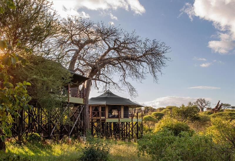 Tarangire Kuro lodge exterior.
