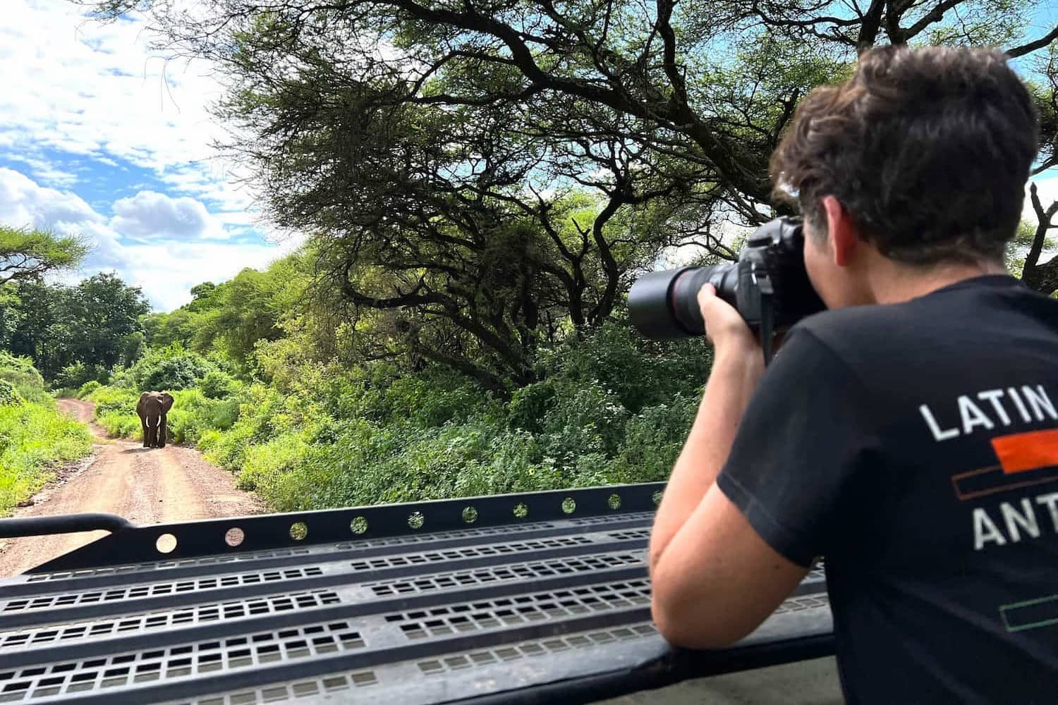 Tara from Viva capturing the majestic African elephant approaching the safari vehicle