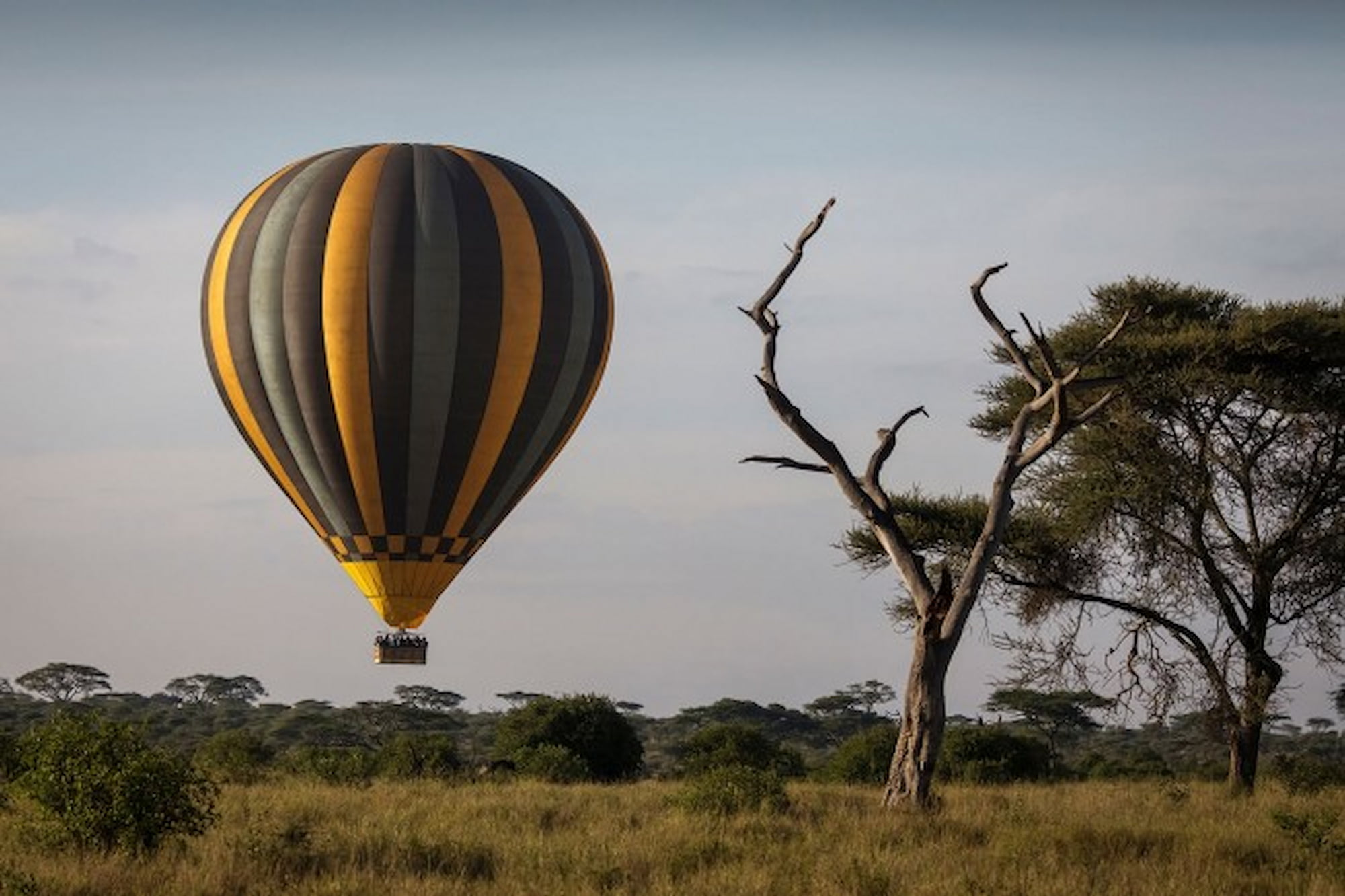 Hot air ballooning over Serengeti National Park