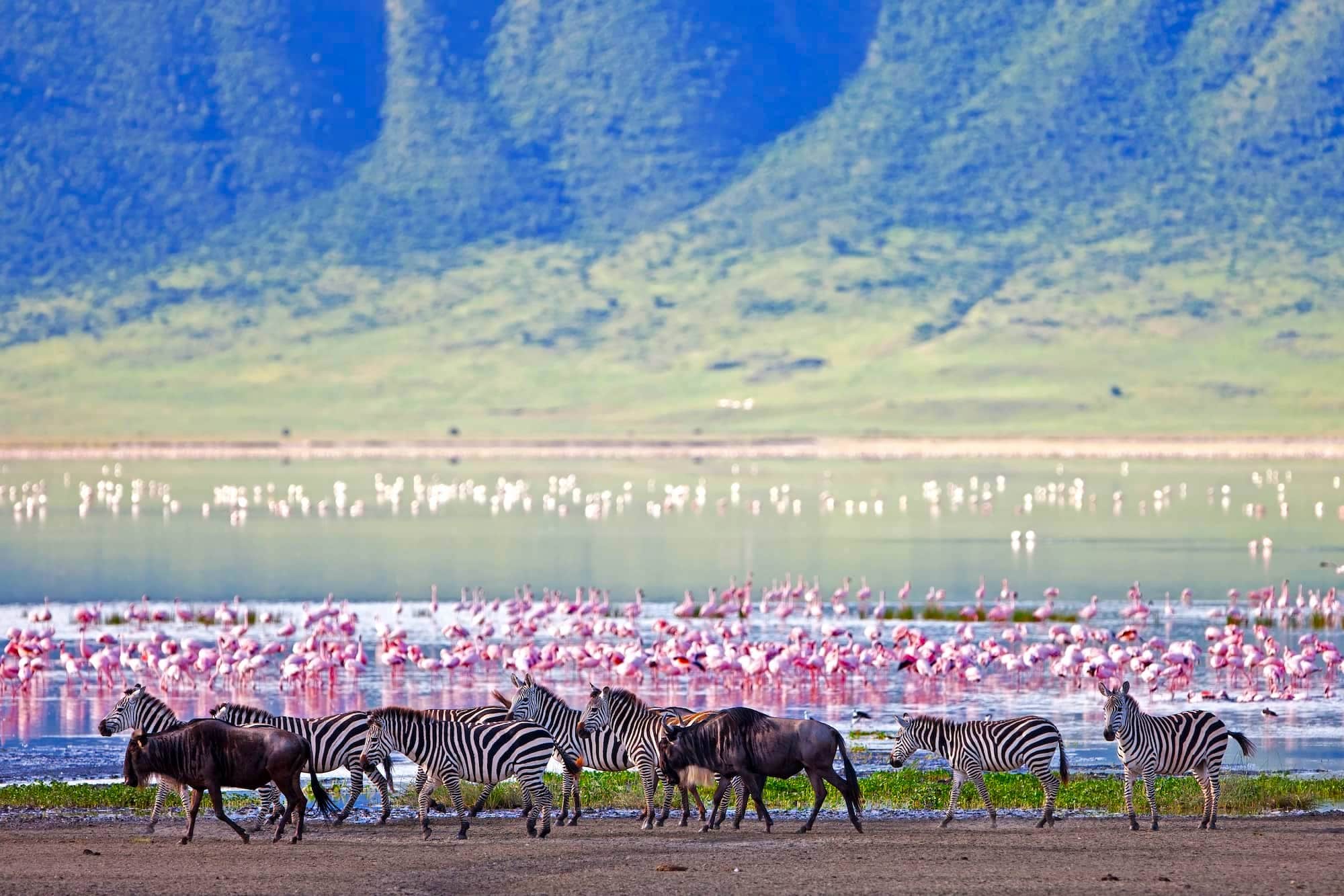 The wildlife rich Ngorongoro crater