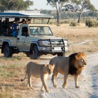 Drifters 4x4 Safari Vehicle