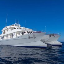 Alya | Galapagos Cruise Ship