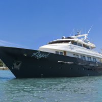 Galapagos Angel
