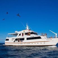 Galaven | Galapagos Cruise Ship