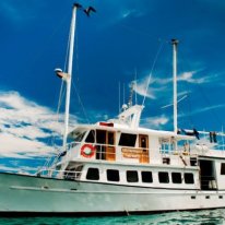 Golondrina | Galapagos Cruise Ship