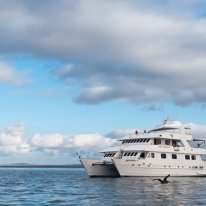 M/C Galapagos Seaman Journey | Galapagos Cruise Ship