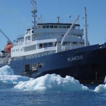 MV Plancius | Arctic & Antarctic Cruise Ship