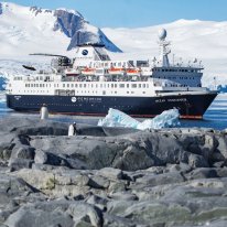 Ocean Endeavour | Antarctic Cruise Ship