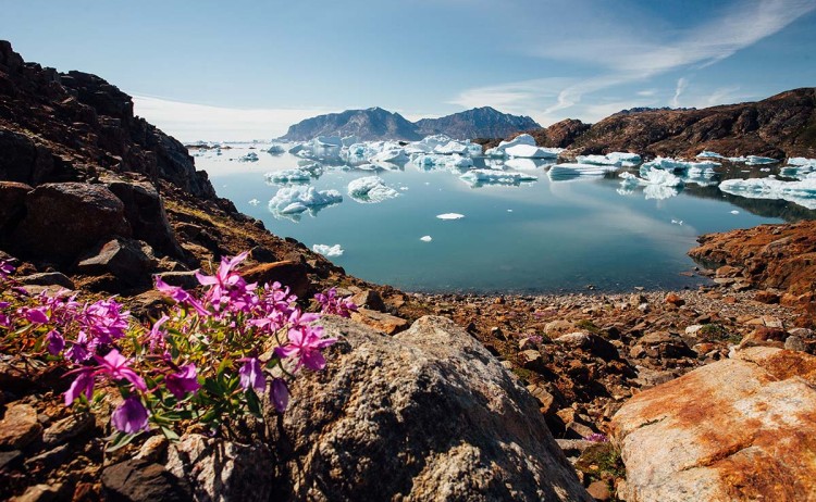 Three Arctic Islands Greenland landscape