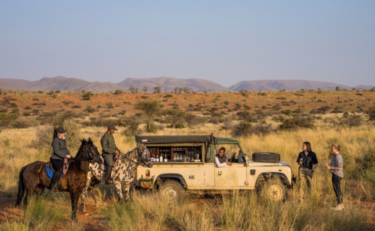 Horse COPYRIGHT PROTECTED1small