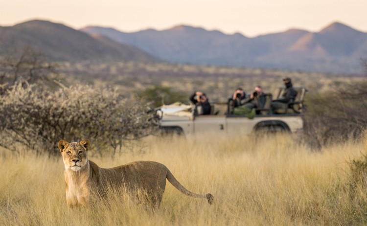 Mammal COPYRIGHT PROTECTED6small