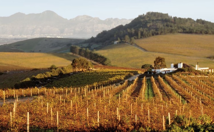 cape town winelands