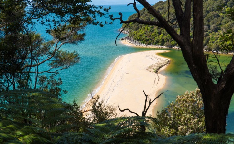 Abel Tasman NP