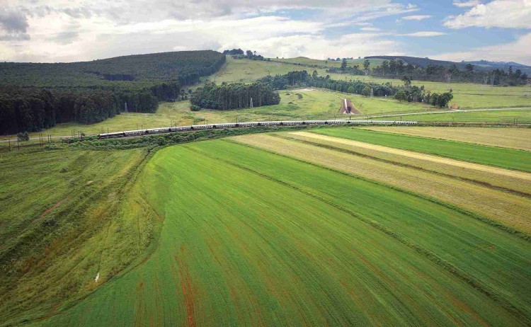 DurbanHillsMeadowAir 11zon