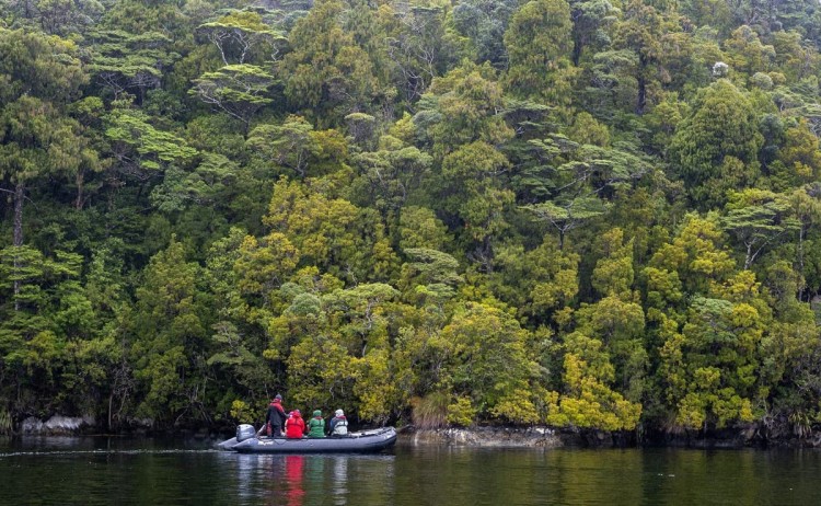 zodiac fiordland s.bradley