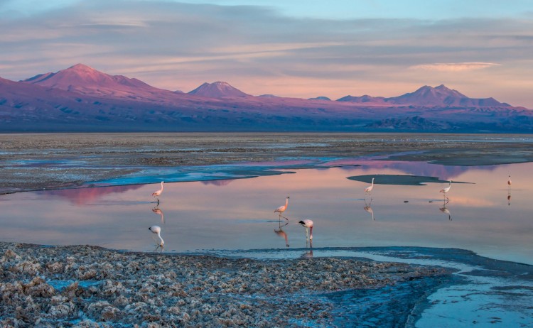 NAA Atacama Salt Flat