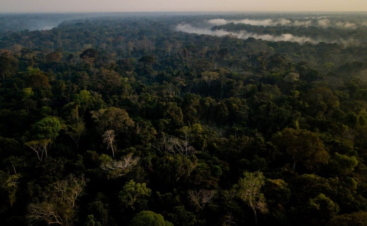 Refugio Amazonas drone view of the forest from the canopy tower v2