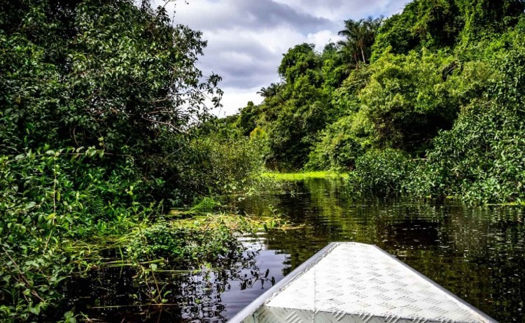 Amazon River Brazil v2