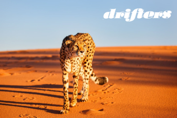 Angola and Namibia Pioneer