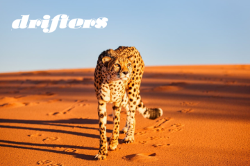 Angola and Namibia Pioneer