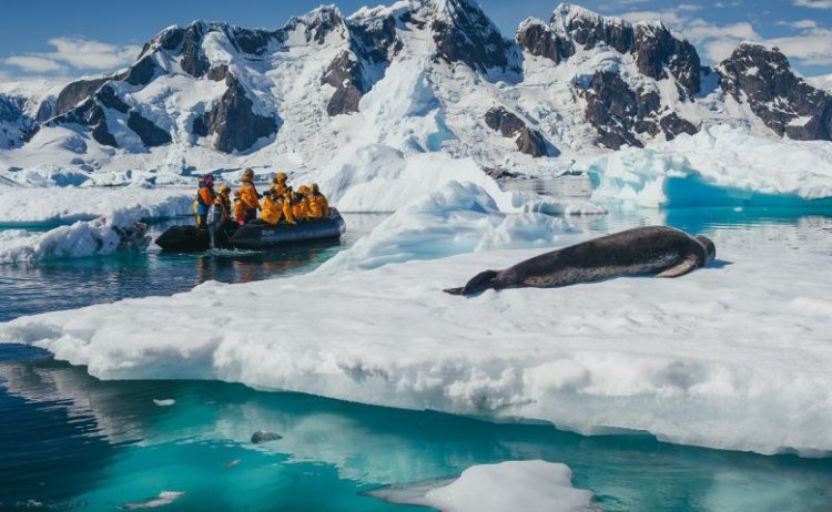 Zodiac crusing with Quark