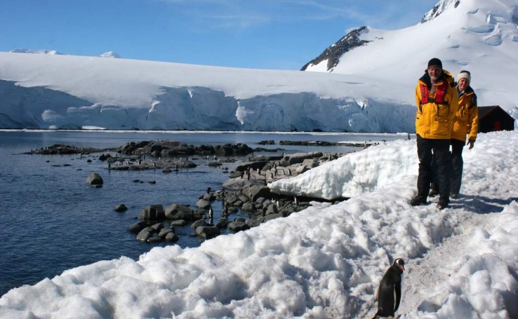 Antarctica couple and penguins