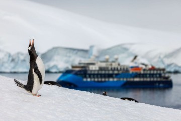 Antarctic Peninsula: An Explorers Expedition
