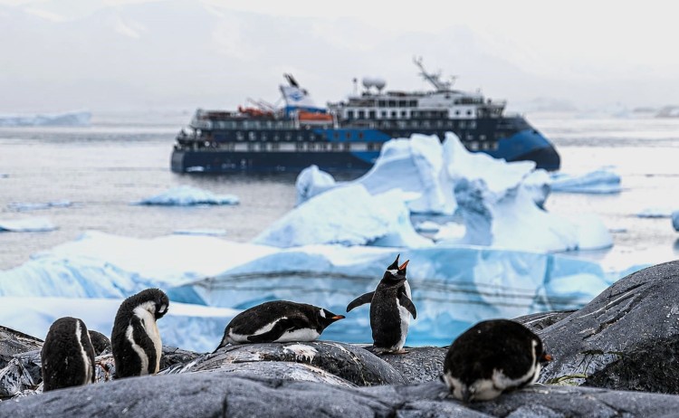 Explorers expedition group of penguin in Antarctica