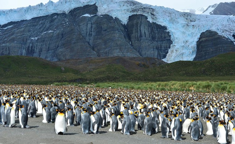 falklands south georgia antarctica Poseidon