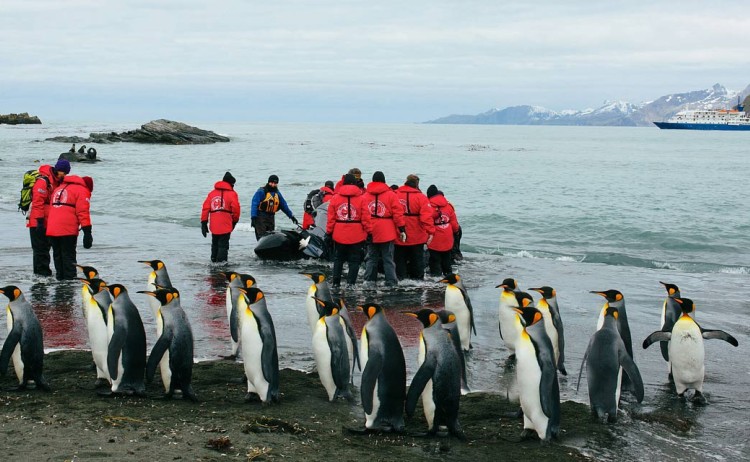 falklands south georgia antarctica zodiac landing poseidon