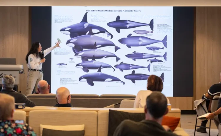 Antarctic wonders Expert led Talks Antarctica