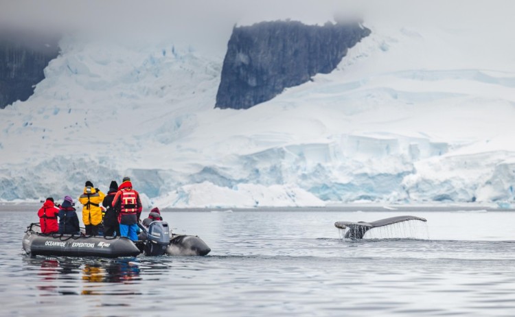 Antarctica zodiac cruising