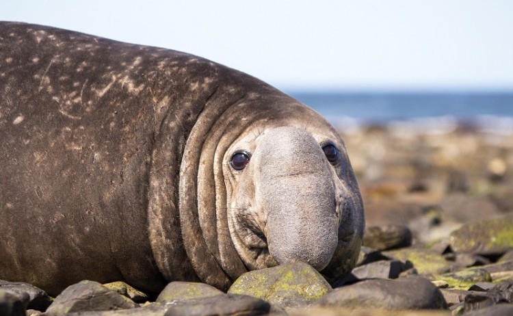 By fieldwork shutterstock 329032739 800