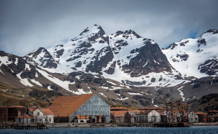 South Geogia Antartica 21 fly cruise