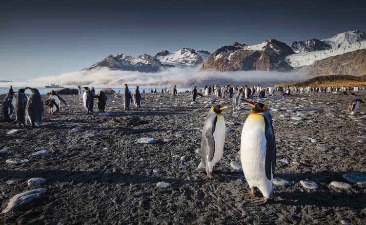 South Georgia Landscape Aurora