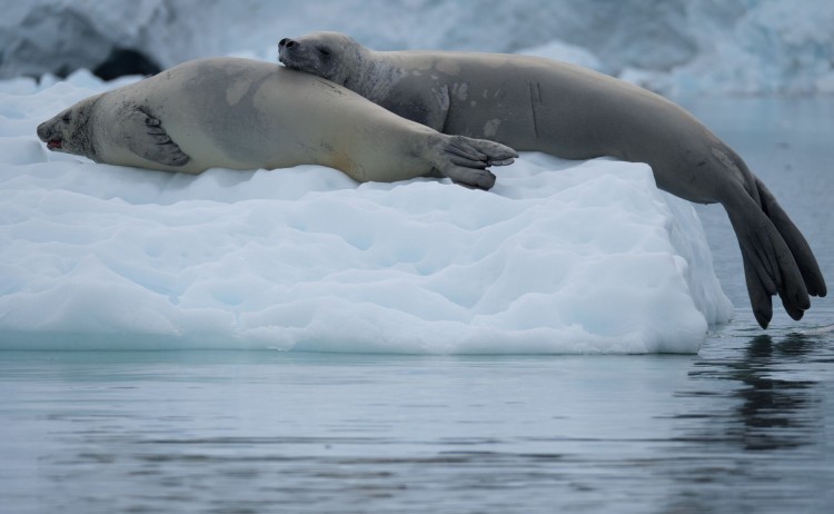 RF AdobeStock 192266239