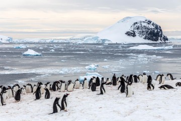 Antarctic Peninsula: The Classic Voyage