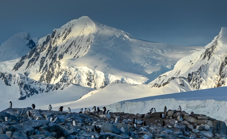 Antarctica Fly the Drake Passage colony of penguins
