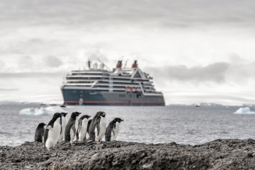Antarctica, S Georgia & Falkland Islands | Venture