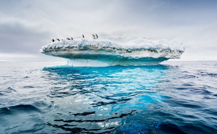 Antarctica