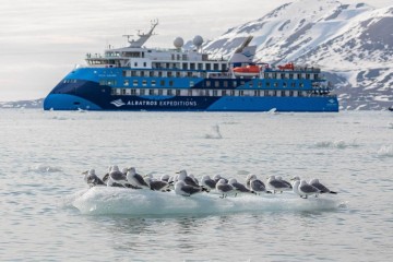 Antarctica Springs to Life