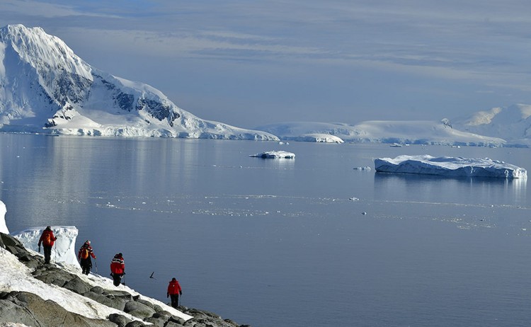 Antarctica springs to life guests exploring the icy shores of Paradise Bay
