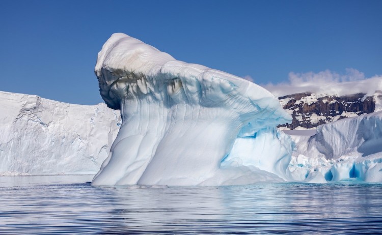 Antarcticas Whale Season Fournier Bay