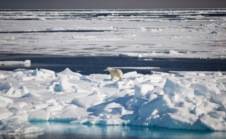 acaciajohnson svalbard 2016 30