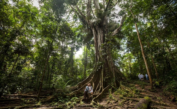 Trail hike in Amazon