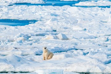 Around Spitsbergen, Realm of Polar Bears & Ice