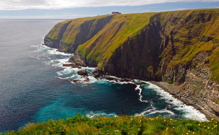 Cape St Mary in Newfoundland