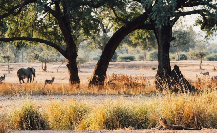 2023 07 kutali camp classic zambia by marion payr 181 small